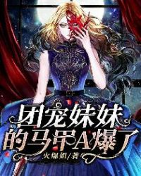 宠物小精灵日月国语版