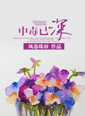 八斗小说