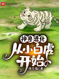 阮玲玉电视剧