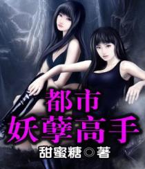 贾宝玉与王熙凤在轿子里第十二回