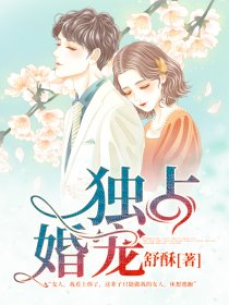 公车诗情