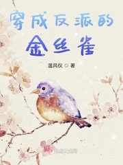 樱桃网站在线