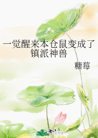 金瓶风月在线观看