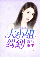 国产日产欧洲系列