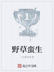 另类图库区