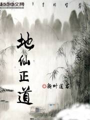 东四命西四命速查表