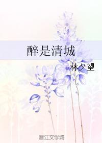 2024新金瓶梅