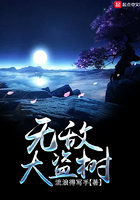 国内无删减顶级私拍写真视频