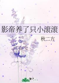 斗龙战士第七季
