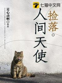 大卫贝尔
