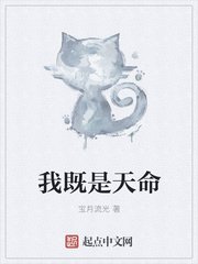 智司