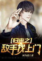 安利锅