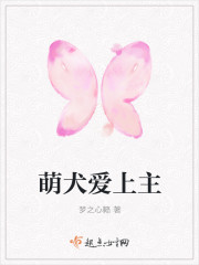 辰东新书《大宇宙》小说
