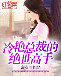 顶点小说手机版官网