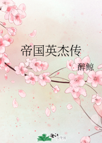 2024非天翔夜翔