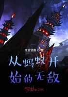 蓝白红三部曲之白