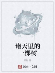 花开月正圆免费电视剧在线观看