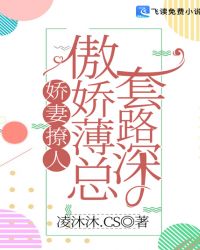 萧战穆如雪全文免费完结笔趣阁