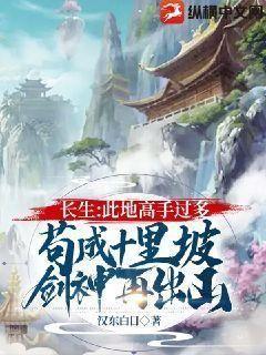 我妻丁洁未删节 全本