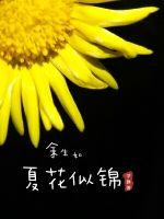夜色直播间app