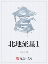 91大神冷s