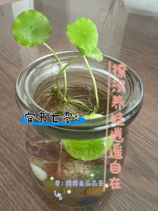 国横私图谢文私图