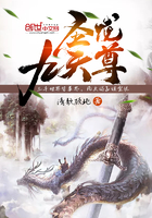 无敌视频在线观看免费高清