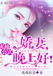 海贼王后宫小说