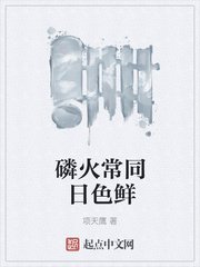 请叫我总监免费看全集啥时候播放
