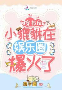 老九门未删减版在线观看