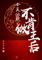 王者荣耀诸葛亮