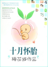 娇艳人生小说