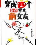 孔中窥见真理之貌