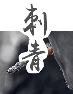 东京不太热在线新视频