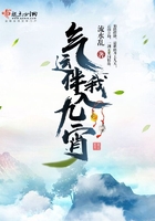 龙牌