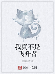 欲望公车诗晴小说