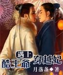 日比视频