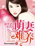 漂亮的保姆-hd