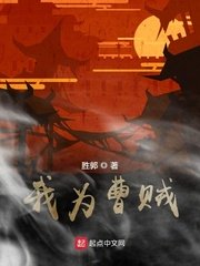 雪豹坚强岁月电视剧免费观看完整版