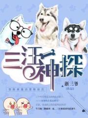 求手机网址你们懂司机2024