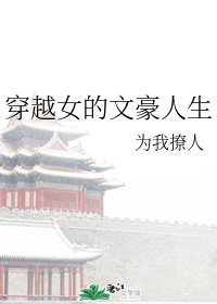 苏乞儿赵文卓