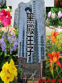 热99在线视频免费视频