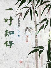 李宗伟电影免费观看