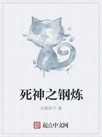 无敌极光侠