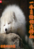 你好乔安