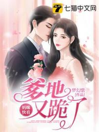 李小璐的现任老公
