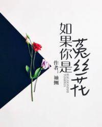 东方卫视在线直播观看