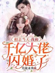 叶辰萧初然全集多少章