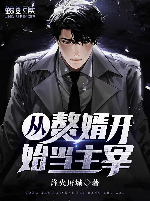 女友小叶系列全集txt