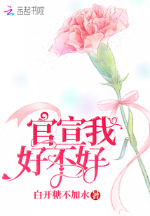 打飞机.com